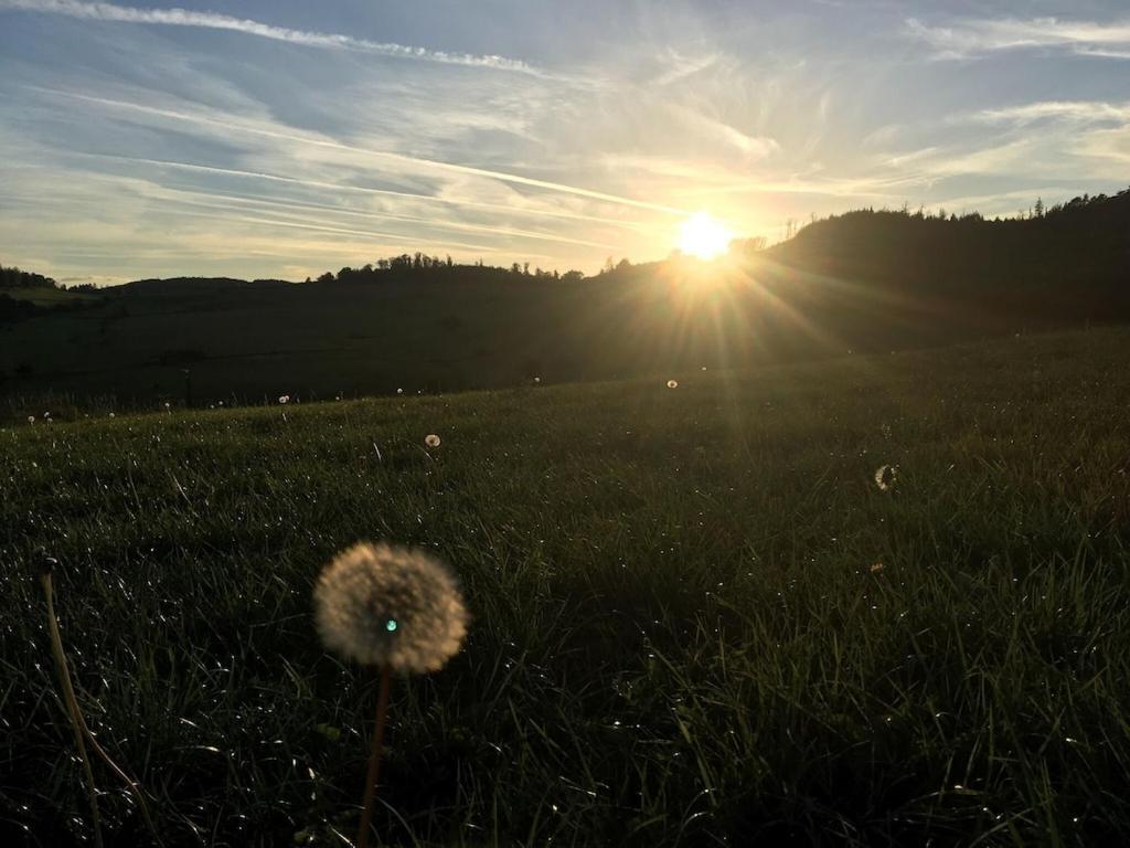 Appartement Natur Pur Im Schoenen Sauerland à Allendorf  Extérieur photo